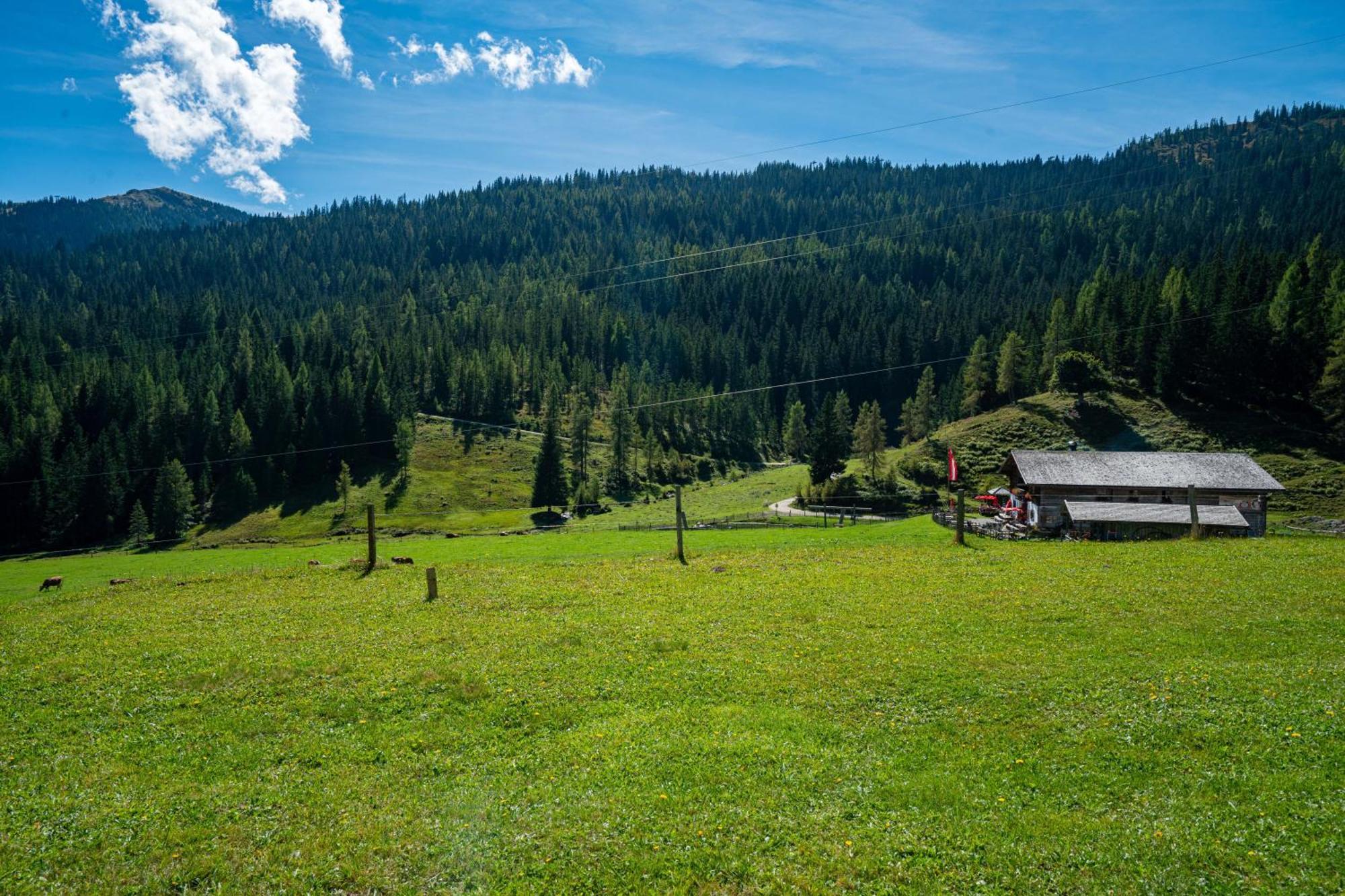 Hotel Mittereggalm Mühlbach am Hochkönig Exterior foto